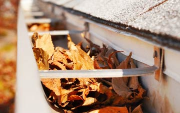 Carnhedryn Uchaf gutter cleaning companies