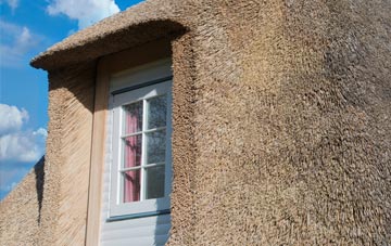 Carnhedryn Uchaf thatch roof disadvantages
