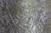 Carnhedryn Uchaf fibreglass roof work